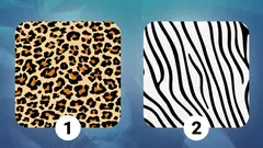 Heart or Mind: Choose a Pattern and Find Out What Really Drives You